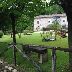 Lady Frantoio Toscano Ferienhaus